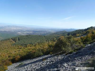 Tierras de Soria y Zaragoza - Parque Natural del Moncayo; monasterio de veruela sierra cazorla bosqu